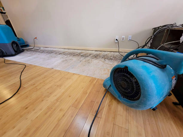 Professional Emergency Water Damage technician working in Eagle Point, AL